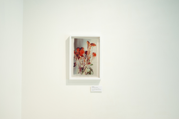 「Swaying Flowers」 giclee print